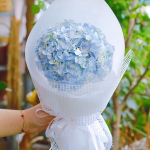 Bó hoa cẩm tú cầu màu xanh 1 bông