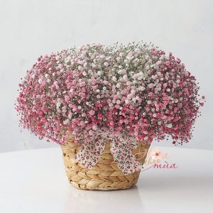 Giỏ Hoa Baby Hồng Rosy – Đôi má ửng hồng