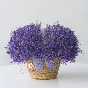 Giỏ Hoa Baby tím mix Lavender tươi- The Scent of wisdom