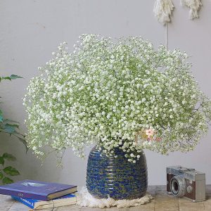 Hoa Baby trắng tinh khôi – Hoa tươi nhập trực tiếp từ Đà Lạt