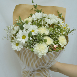 Bó hoa Cẩm chướng mix Baby – Daily Flower 39 bó mộc