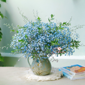 Daily Flower 24 – Hoa Baby xanh dương mix Sao tím
