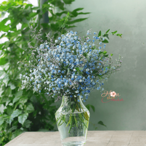 Hoa Baby xanh dương mix Sao tím – Daily Flower 24 size S