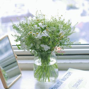Hoa Thủy tiên trắng mix Cúc Tana – Daily Flower 31