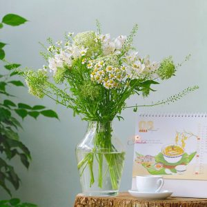Hoa Thủy Tiên trắng mix Cúc Tana – Daily Flower 31 size S