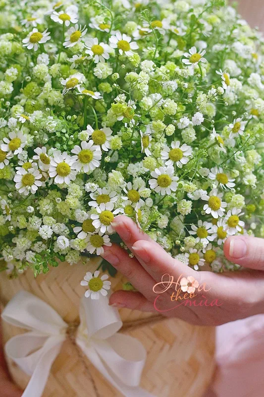 Giỏ hoa Breezy - Ảnh 02