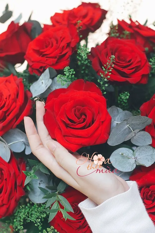 Giỏ hoa hồng Blooming Rose Ecuador Size S góc nhìn khác