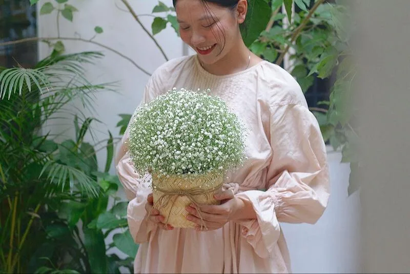 hoa mùng 8 3 đẹp hoa mùng 8 3 đẹp