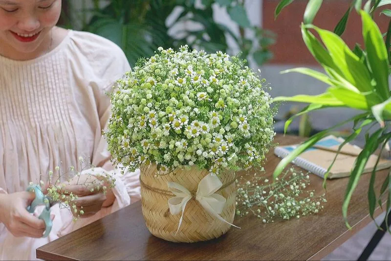 hoa đẹp ngày 8 3 hoa đẹp ngày 8 3