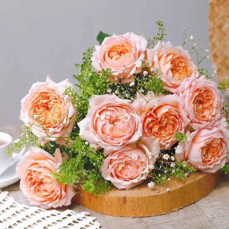 hoa tặng ngày doanh nhân hoa tặng ngày doanh nhân