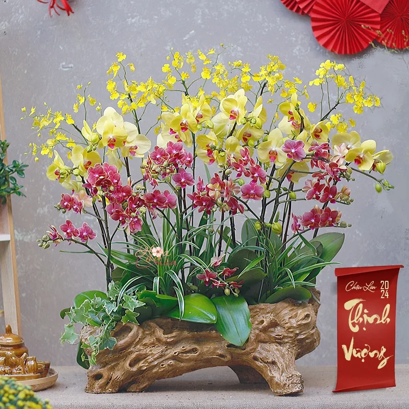 giỏ lan hồ điệp giỏ lan hồ điệp