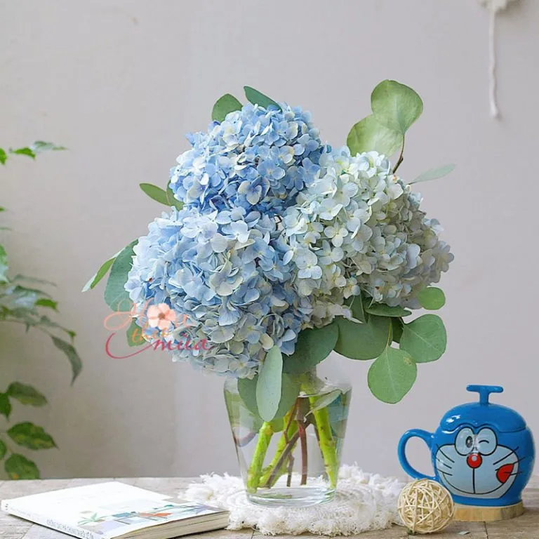 Bó hoa Cẩm Tú Cầu nhiều màu sắc rực rỡ