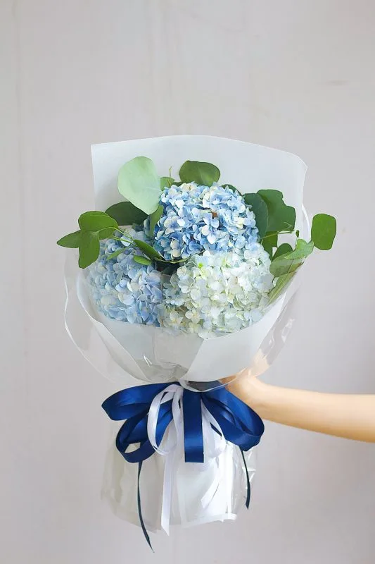 Bó hoa Cẩm Tú Cầu xanh dương tinh tế và thanh lịch