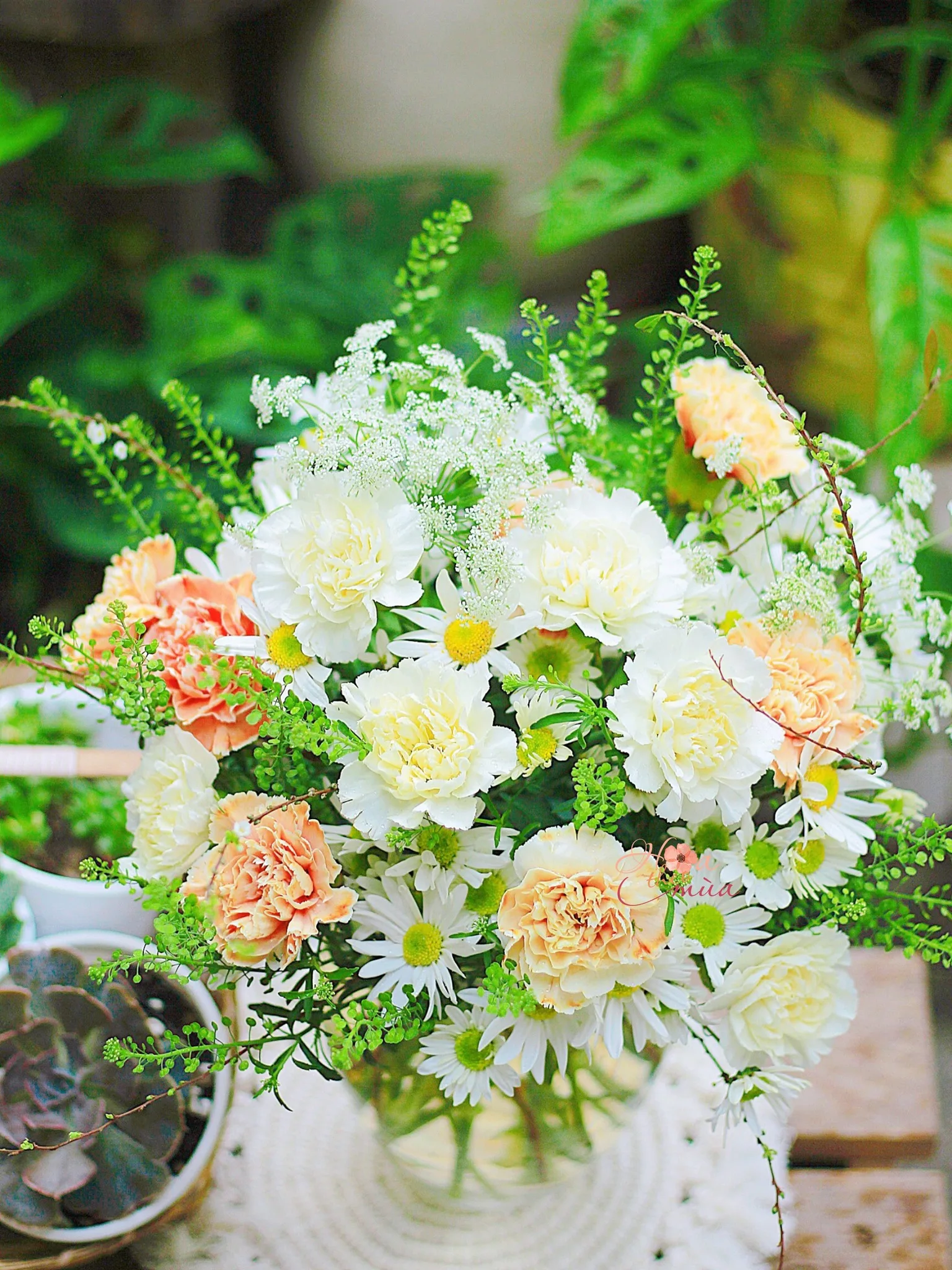 hoa 8 3 tặng mẹ hoa 8 3 tặng mẹ