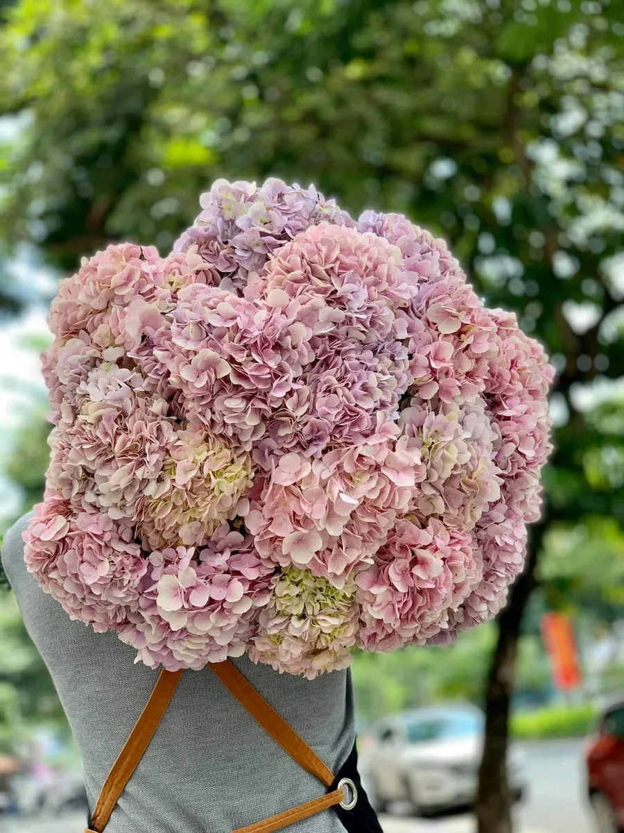 hoa cưới hoa cưới