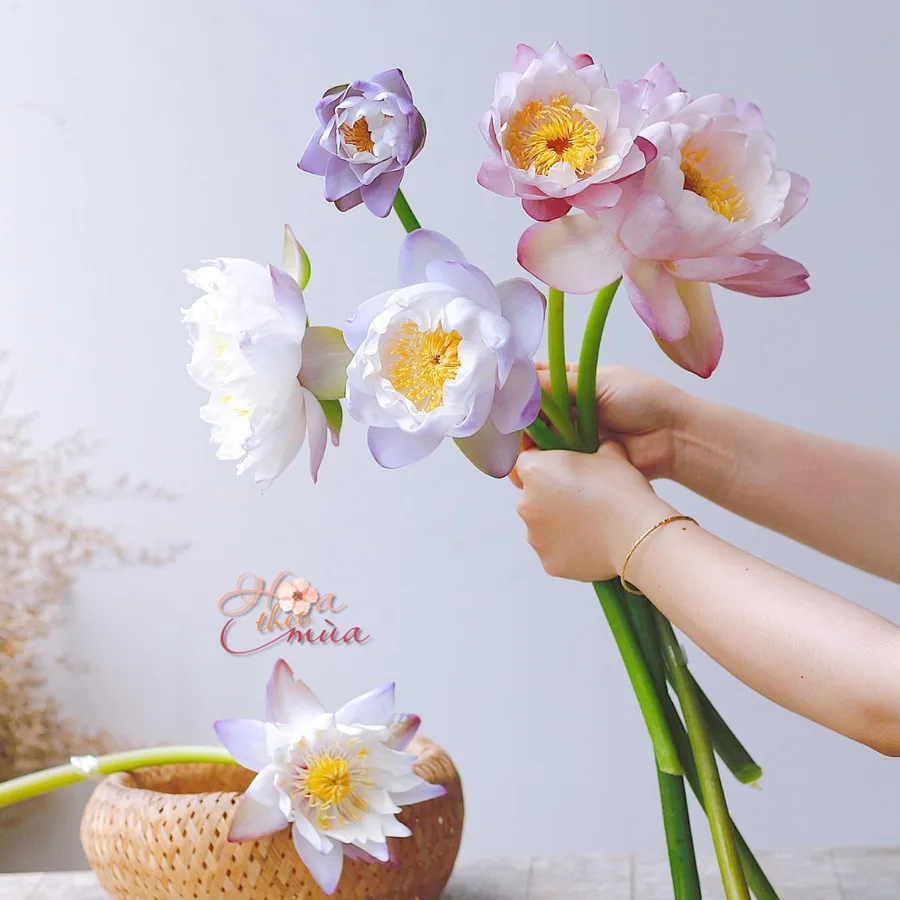 hoa cưới cầm tay hoa cưới cầm tay