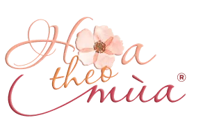 Hoa Theo Mùa – Hệ thống hoa tươi TP.HCM – Giao hoa trong 2h