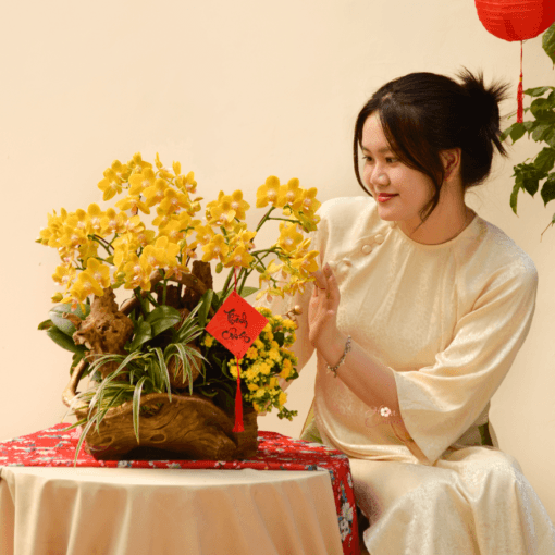 phuquy