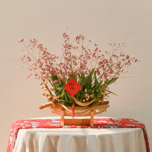 xuanvandu min