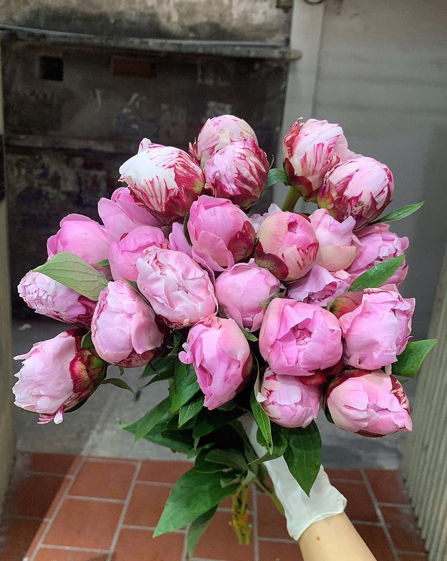hoa tặng mẹ đẹp