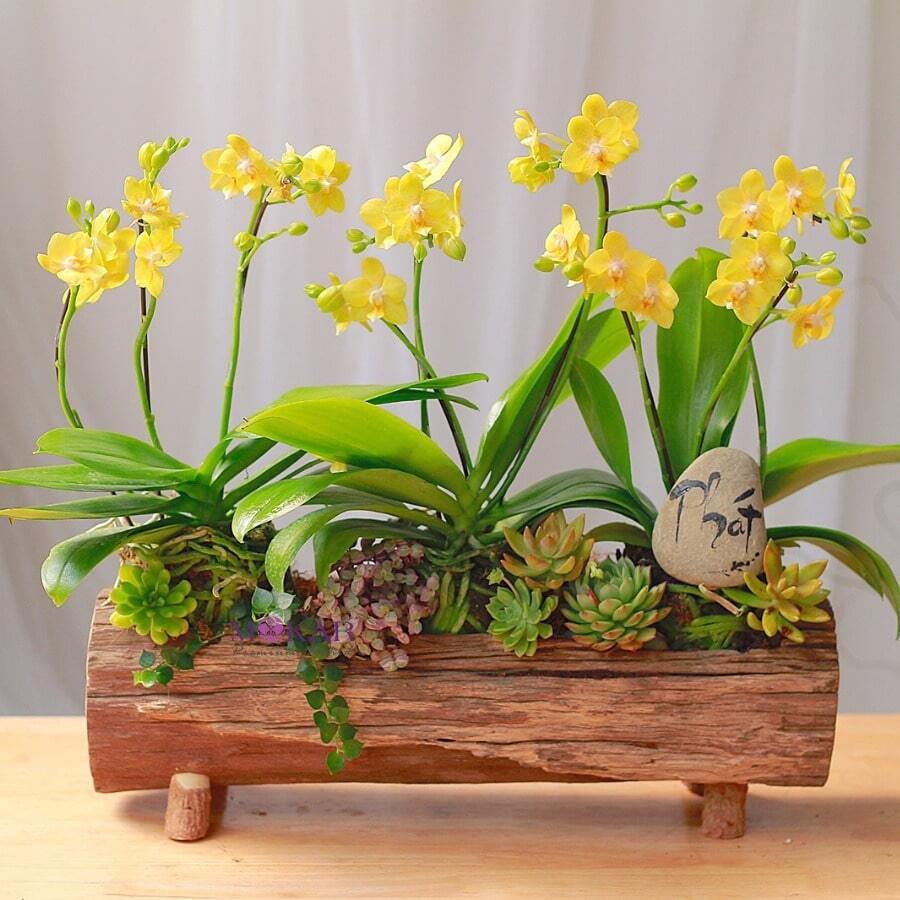 hoa tặng mẹ đẹp