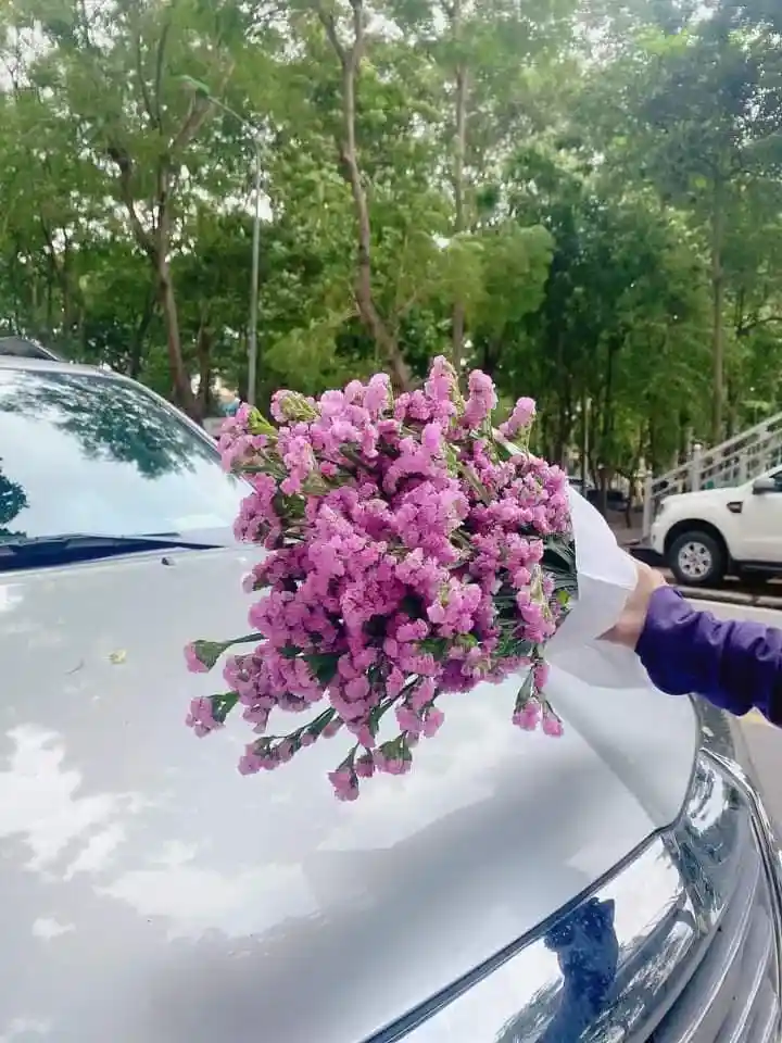 Hoa Salem tặng người yêu
