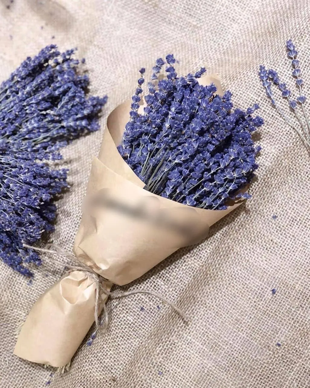 Hoa oải hương tặng người yêu