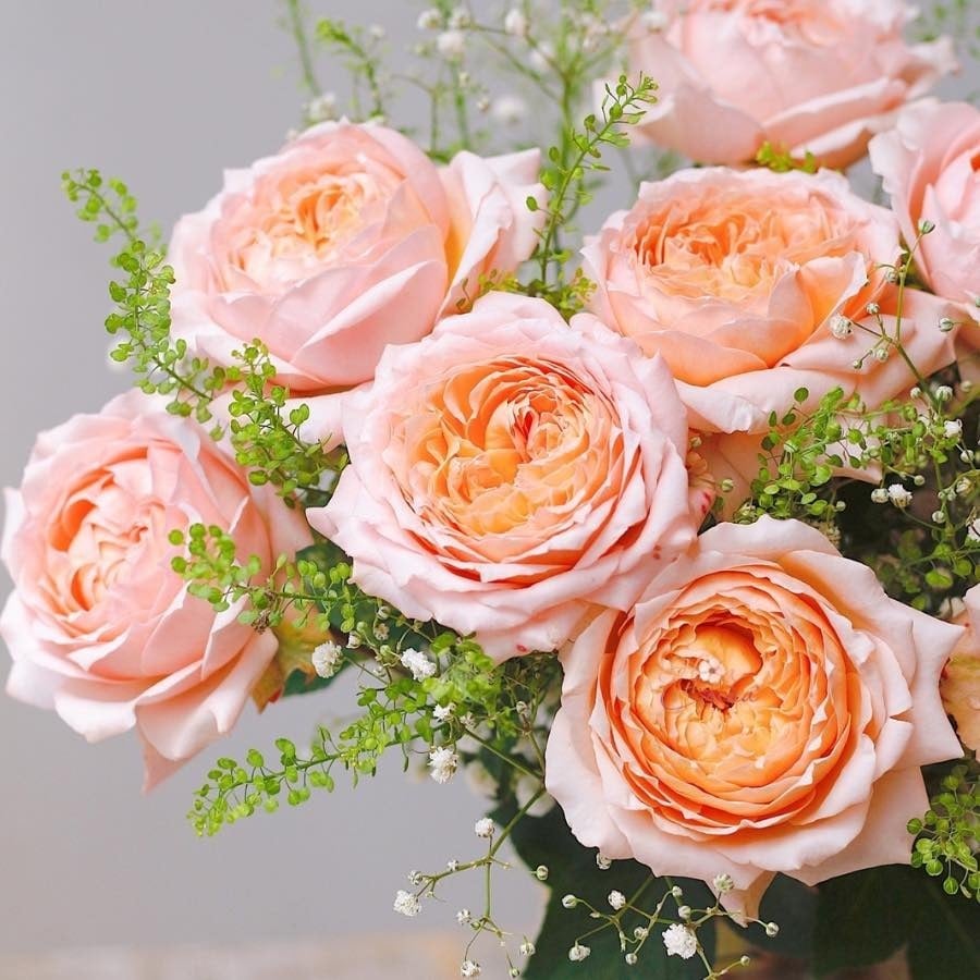 hoa tặng vợ đẹp