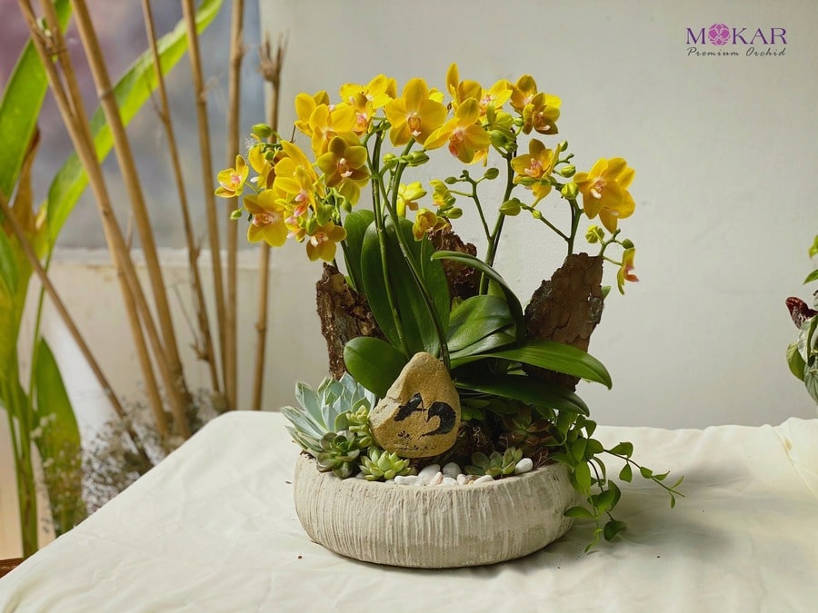 hoa tặng vợ đẹp