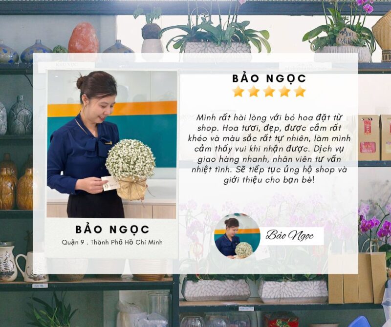 feedback của khách hàng