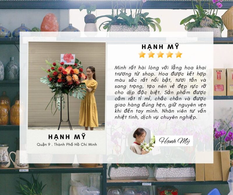 feedback hoa khai trương