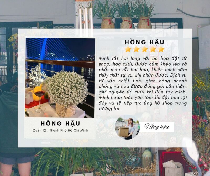 feedback của khách hàng