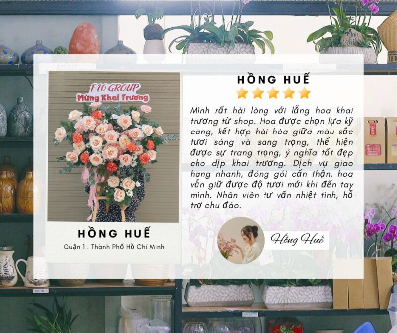 feedback hoa khai trương