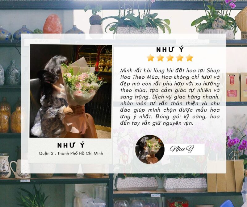 feedback của khách hàng