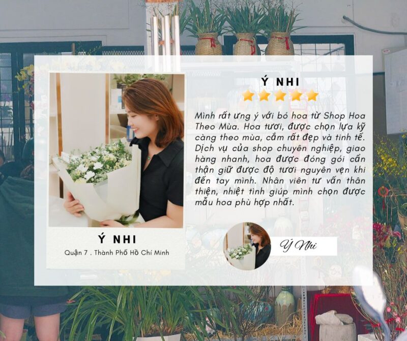 feedback của khách hàng