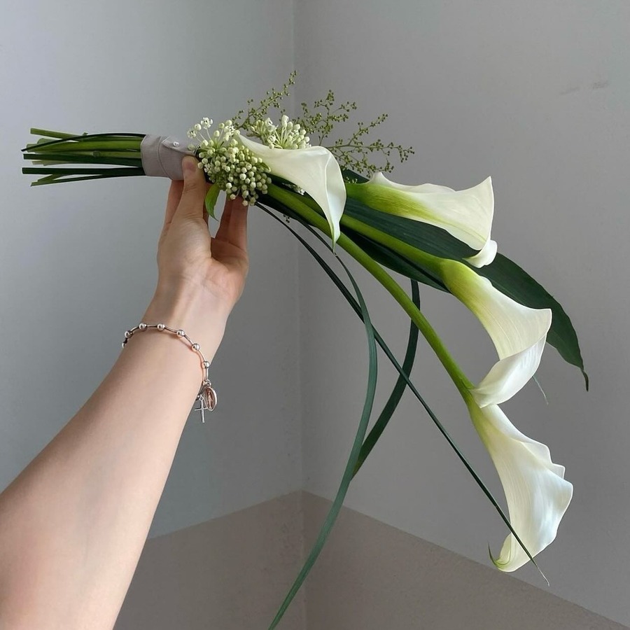 Hoa Calla Lily