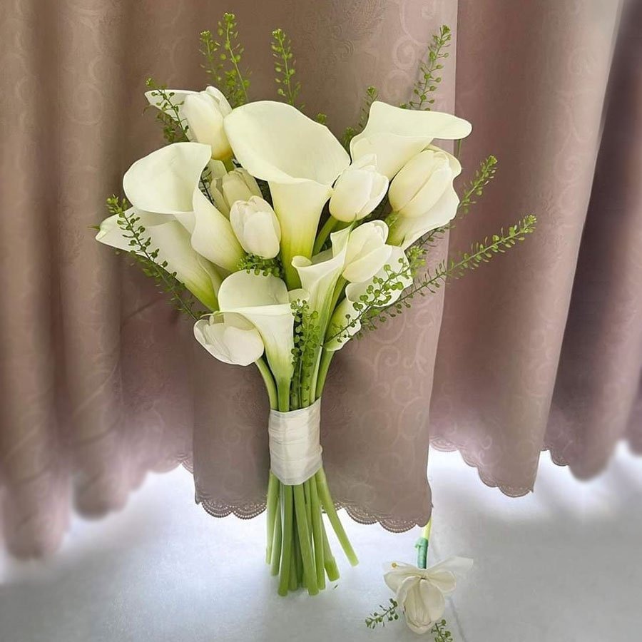 Hoa Calla Lily