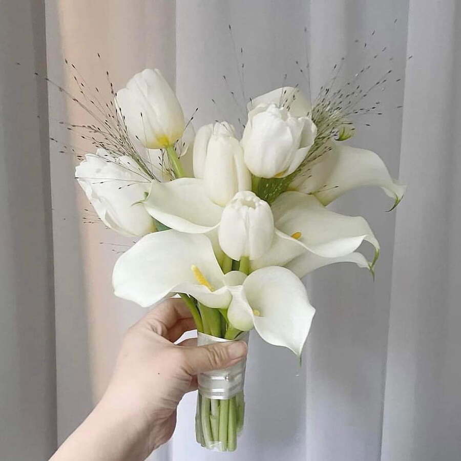 Hoa Calla Lily