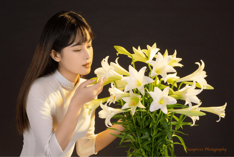 hoa loa kèn hà nội