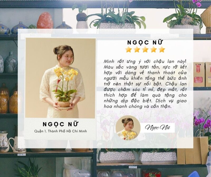 hoa ngày 20 11
